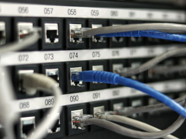 Blue network cables plugged into the ports of an office network switch